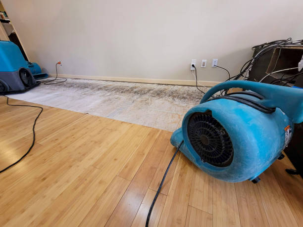 Professional Basement Flood Cleanup technician working in South Plainfield, NJ